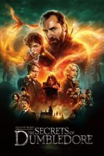 Movie poster: Fantastic Beasts: The Secrets of Dumbledore