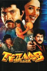 Movie poster: Tezaab