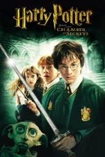 Movie poster: Harry Potter and the Chamber of Secrets