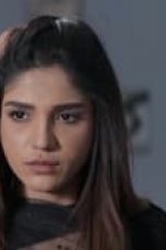 Movie poster: Mrs. & Mr. Shameem Season 1 Episode 19