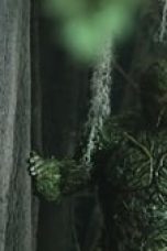 Movie poster: Swamp Thing Season 1 Episode 5