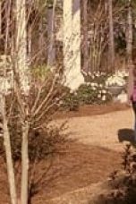 Movie poster: One Tree Hill Season 2 Episode 17