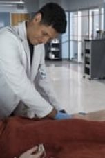 Movie poster: The Good Doctor Season 1 Episode 18