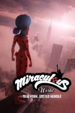 Movie poster: Miraculous World: New York, United HeroeZ 2020