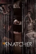Movie poster: The Snatcher 2024