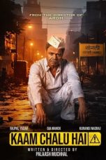 Movie poster: Kaam Chalu Hai 2024