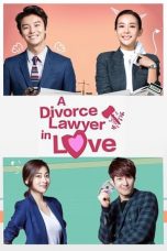 Movie poster: Divorce Lawyer in Love 2015