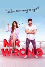 Movie poster: Mr. Wrong Season 1 Episode 18